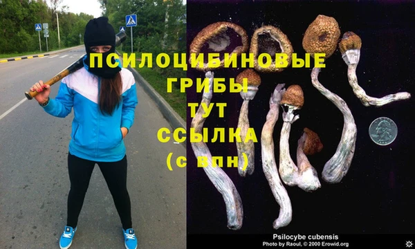кокс Балабаново