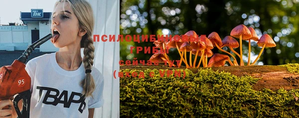 твердый Балахна