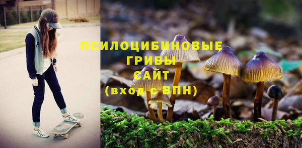твердый Балахна