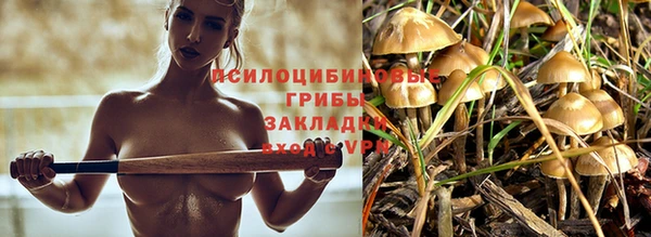твердый Балахна