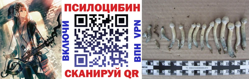 Галлюциногенные грибы Psilocybe  Малмыж 